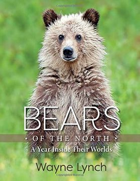 portada Bears of the North: A Year Inside Their Worlds (in English)