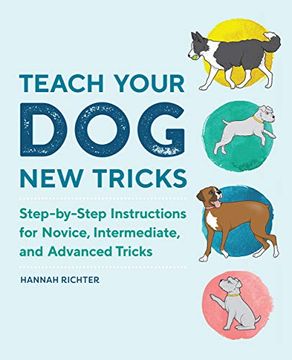 portada Teach Your dog new Tricks: Step-By-Step Instructions for Novice, Intermediate, and Advanced Tricks (en Inglés)