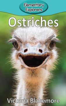 portada Ostriches 