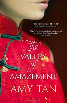 portada The Valley of Amazement (en Inglés)