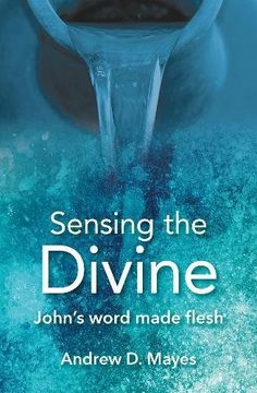 portada Sensing the Divine: John's Word Made Flesh (en Inglés)