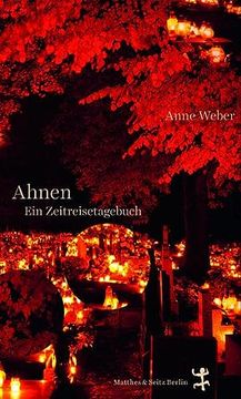 portada Ahnen: Ein Zeitreisetagebuch (en Alemán)