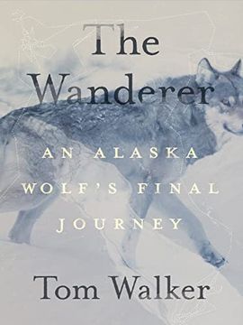 portada The Wanderer: An Alaska Wolf’S Final Journey (in English)