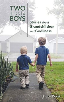 portada Two Little Boys: Stories About Grandchildren and Godliness (en Inglés)