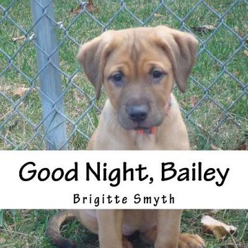 portada Good Night, Bailey (in English)