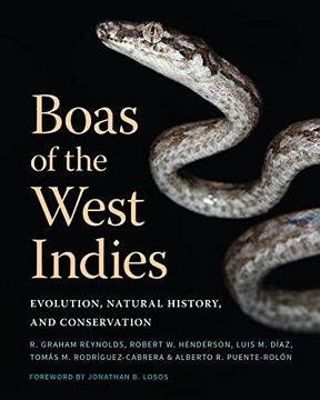 portada Boas of the West Indies: Evolution, Natural History, and Conservation 