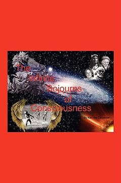 portada the infinite sojourns of consciousness (en Inglés)