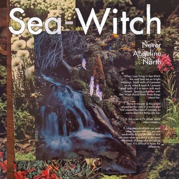 portada Sea-Witch (en Inglés)