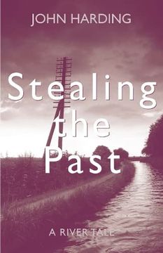 portada Stealing the Past (en Inglés)
