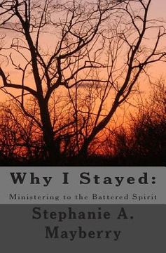 portada Why I Stayed: Ministering to the Battered Spirit