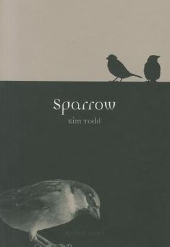 portada Sparrow
