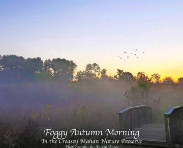 portada Foggy Autumn Morning (en Inglés)
