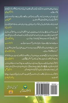 portada Ideal Munafiq (en Urdu)