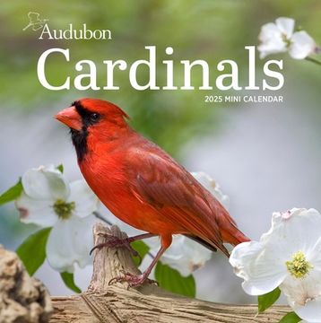 portada Audubon Cardinals Mini Wall Calendar 2025 (en Inglés)