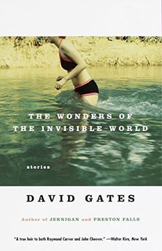 portada The Wonders of the Invisible World (Vintage Contemporaries) (in English)