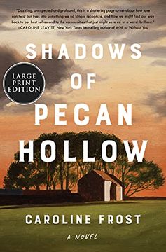 portada Shadows of Pecan Hollow (en Inglés)
