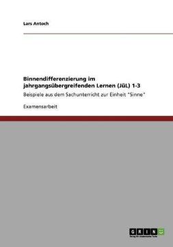 portada Binnendifferenzierung im jahrgangsübergreifenden Lernen (JüL) 1-3 (German Edition)