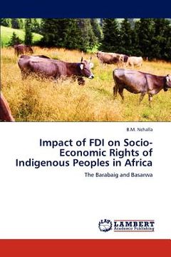 portada impact of fdi on socio-economic rights of indigenous peoples in africa (en Inglés)