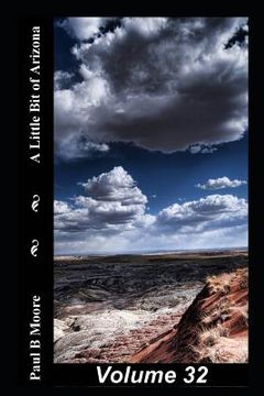 portada A Little Bit of Arizona: Volume 32 (in English)