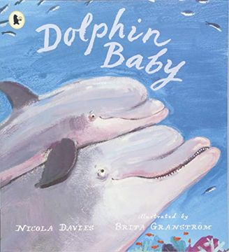 portada Dolphin Baby (Nature Storybooks) (en Inglés)
