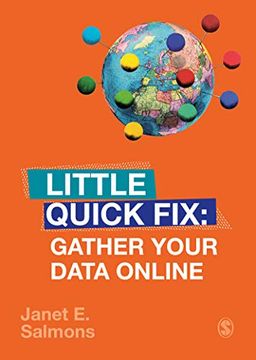 portada Gather Your Data Online: Little Quick Fix (en Inglés)