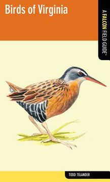 portada falcon guide: birds of virginia (in English)