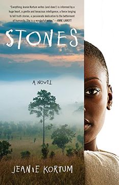 portada Stones: A Novel