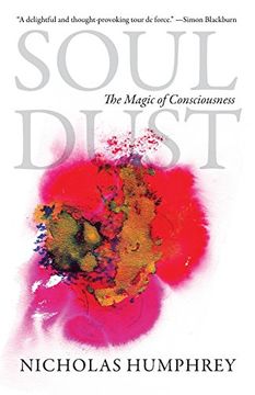 portada Soul Dust: The Magic of Consciousness 