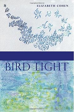 portada Bird Light (en Inglés)