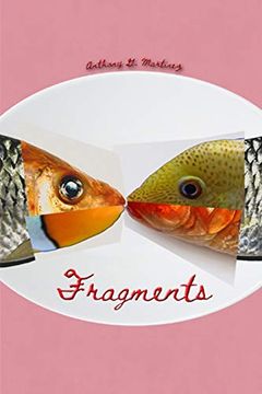 portada Fragments (in English)