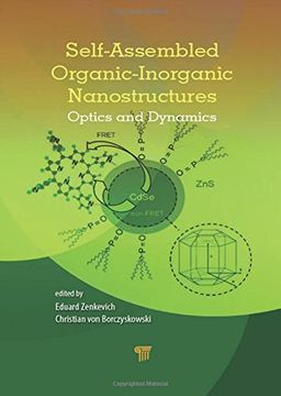 portada Self-Assembled Organic-Inorganic Nanostructures: Optics and Dynamics (en Inglés)