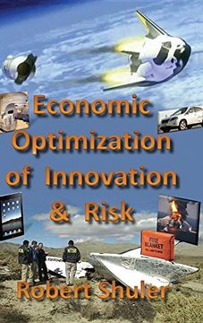 portada Economic Optimization of Innovation and Risk