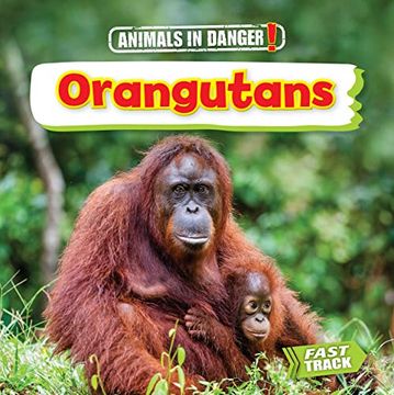portada Orangutans (Animals in Danger) (en Inglés)