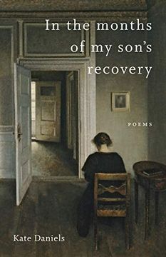 portada In the Months of my Son's Recovery: Poems (Southern Messenger Poets) (en Inglés)