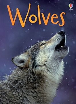 portada Beg Wolves (Beginners Series) (en Inglés)