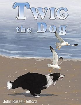 portada Twig the dog (in English)