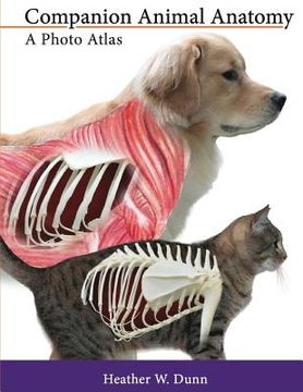 portada Companion Animal Anatomy: A Photo Atlas (en Inglés)