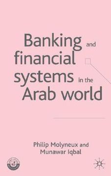 portada banking and financial systems in the arab world (en Inglés)
