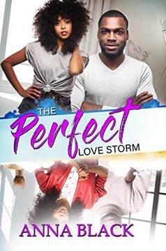 portada The Perfect Love Storm 