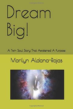 portada Dream Big! A Twin Soul Story That Awakened a Purpose (in English)