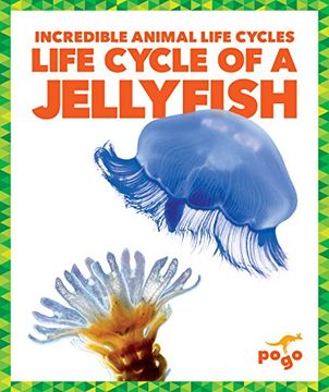 portada Life Cycle of a Jellyfish (Incredible Animal Life Cycles) (in English)