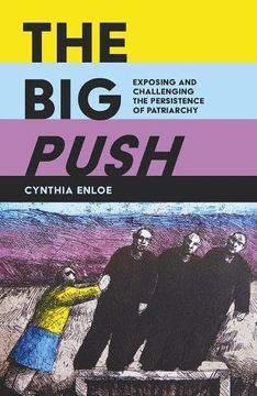 portada The Big Push: Exposing and Challenging the Persistence of Patriarchy
