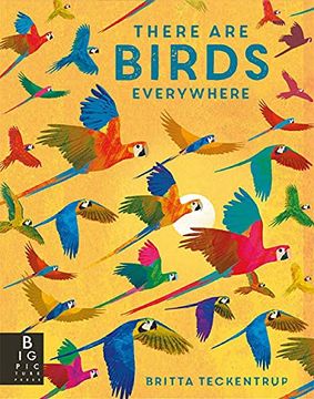 portada There are Birds Everywhere (Sago Mini) (in English)