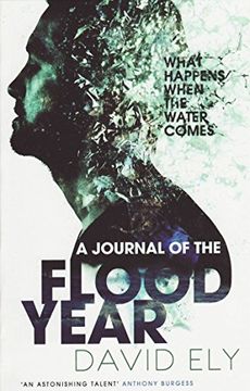 portada A Journal of the Flood Year (en Inglés)