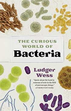 portada The Curious World of Bacteria (en Inglés)