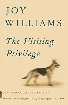 portada The Visiting Privilege: New and Collected Stories (Vintage Contemporaries) (en Inglés)