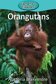 portada Orangutans (Elementary Explorers) (en Inglés)