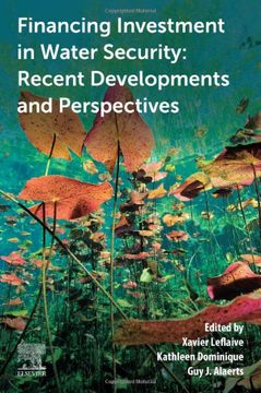 portada Financing Investment in Water Security: Recent Developments and Perspectives (en Inglés)