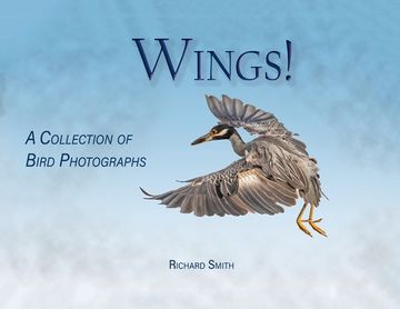 portada Wings! (in English)