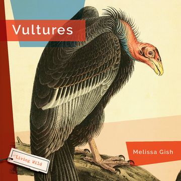 portada Vultures (Living Wild) (in English)